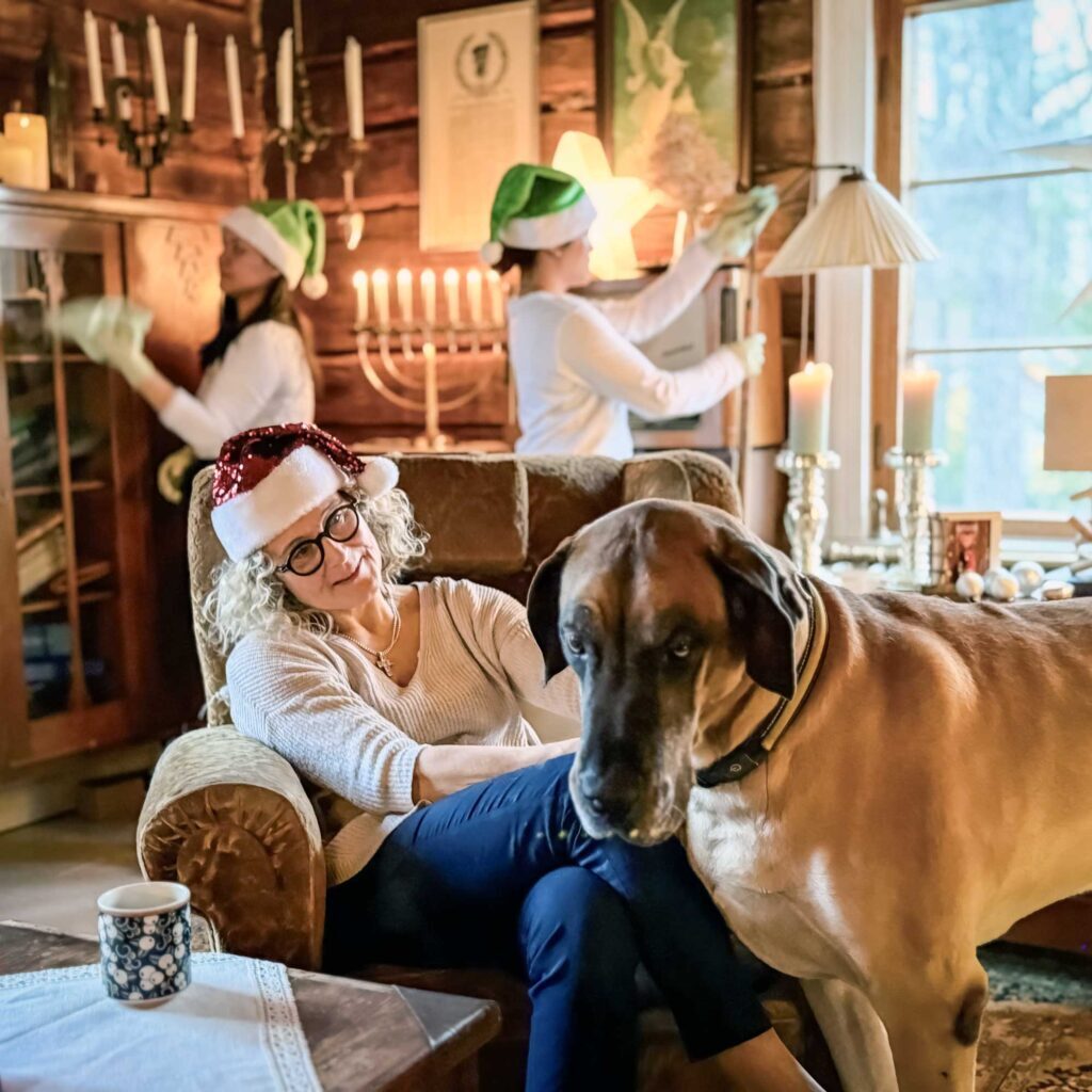 joulusiivousIMG_1875